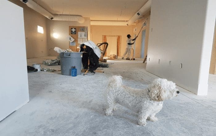 Your House is Not the Only Property for Sale in Ottawa Renovations and Upgrades Can Give You That Competitive Edge in Bidding Wars and Increase Your Property | Ottawa Property Shop's true value.